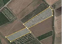 galizia-2