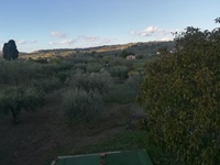 img-20211129-wa0007
