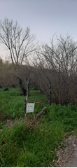 Terreno agricolo fronte strada