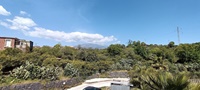 img20230427112450