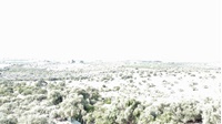 dji_fly_20230708_091150_114_1688800344706_photo_optimized