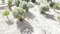 dji_fly_20230708_091202_115_1688800341605_photo_optimized