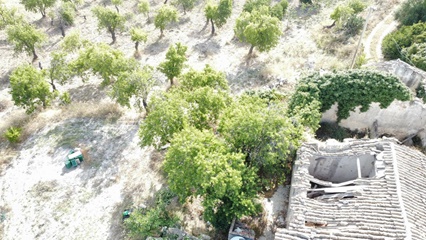 Terreno con caseggiato in cda vaddeddi