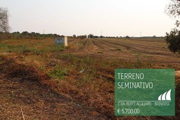 Terreno seminativo contrada buffi acquaro