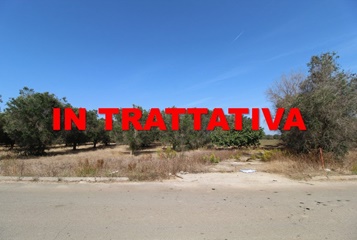 Terreno agricolo via palmitella