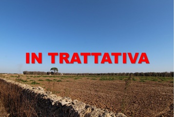 Terreno agricolo contrada caposchiavo