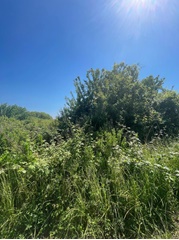 Terreno agricolo  in monte san biagio