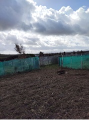 Terreno agricolo in vendita a stintino, sassari - localita' nanni d'oro**