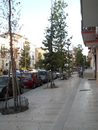 dscn1736jpg