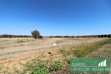 Terreno agricolo in contrada mucchio