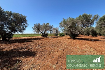 Terreno agricolo in contrada masciullo - brindisi