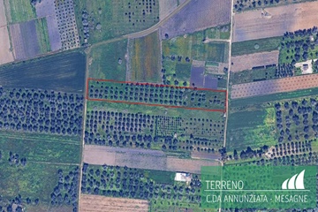 Terreno agricolo in contrada annunziata