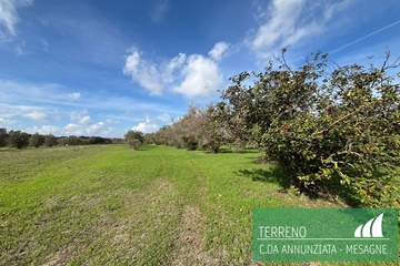 Terreno agricolo in contrada annunziata