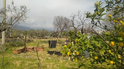 Terreno agricolo con fabbricato