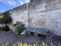 giardino-4