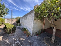 giardino-10