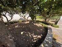 giardino-7