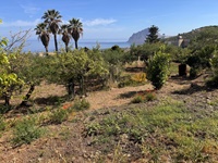 giardino-20