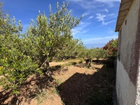 giardino-18