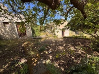 giardino-8
