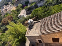 giardino-19