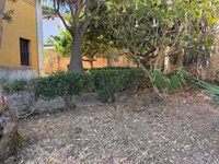giardino-15