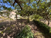 giardino-6