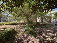 giardino-12