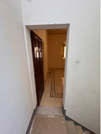 ingresso