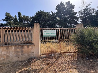Terreno agricolo in vendita  a pizzolungo