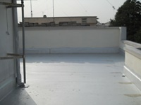 dscn1981jpg