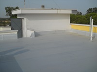 dscn1983jpg