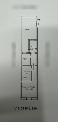 21-piantajpg
