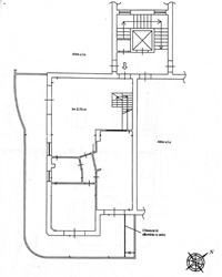 pianta-p5