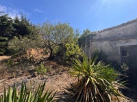 rudere