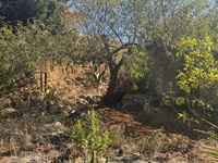 terreno-2