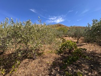 terreno-3